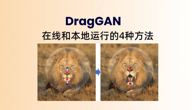 如何安装和使用DragGAN？在线和本地运行的4种方法