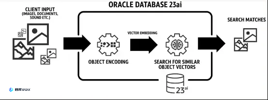 Oracle Database 23ai正式发布！近50岁数据库巨头迈入AI_图1